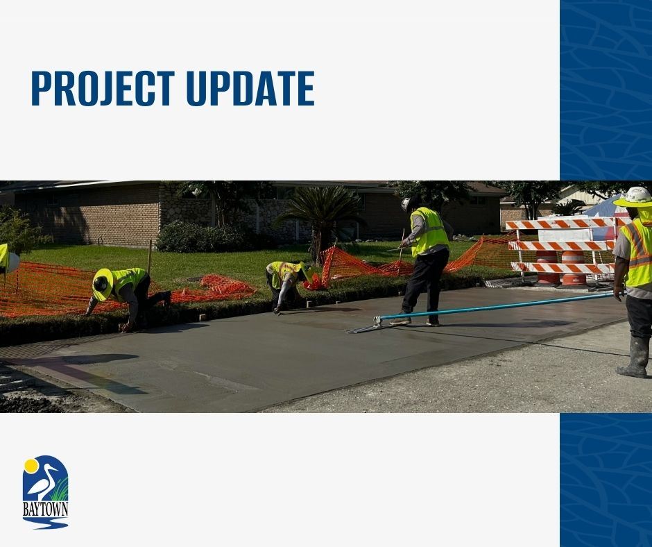 News Flash. Project Update