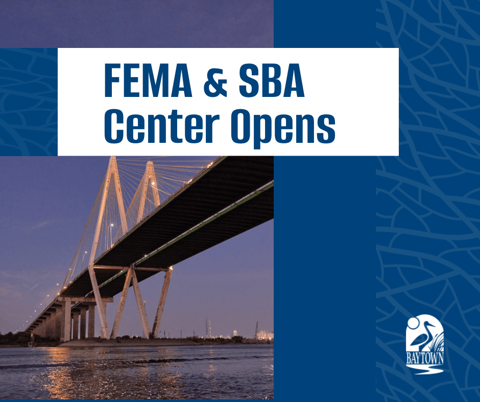 FEMA SBA Graphic