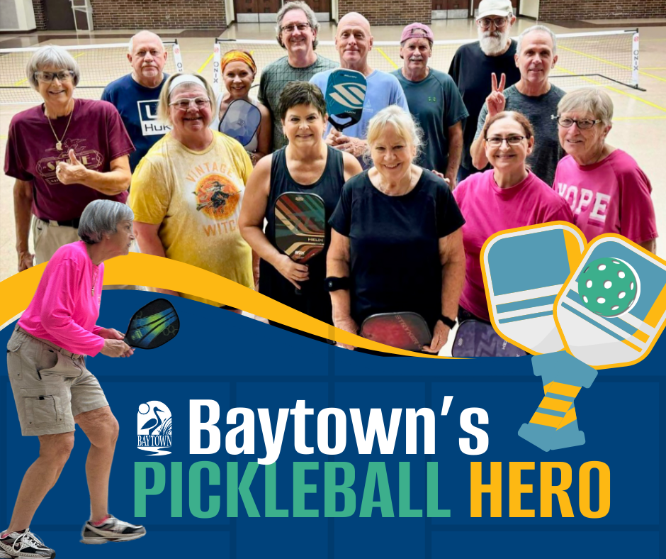 Pickleball hero