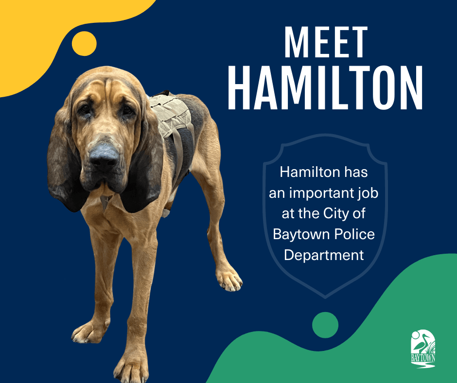 Hamilton K9 PD