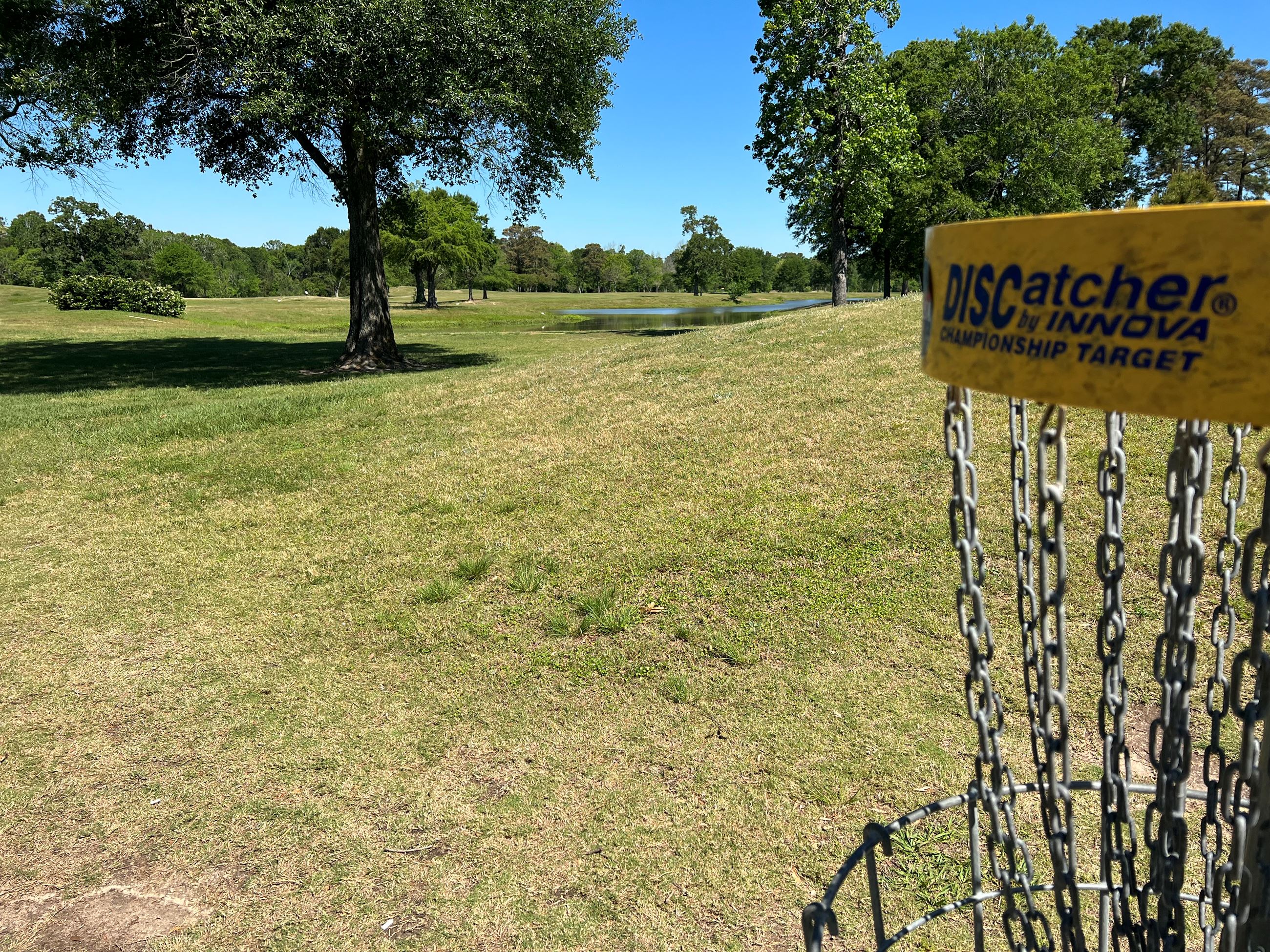 Disc Golf 03