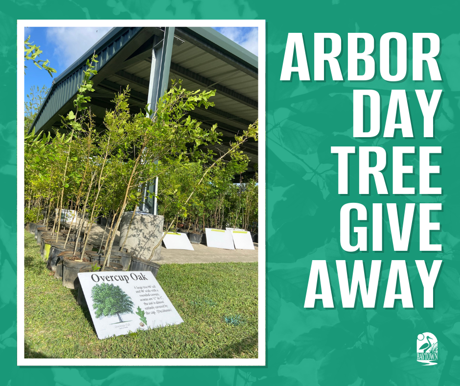 Arbor Day Imagery